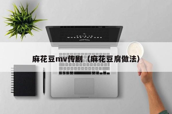 麻花豆mv传剧(麻花豆腐做法)