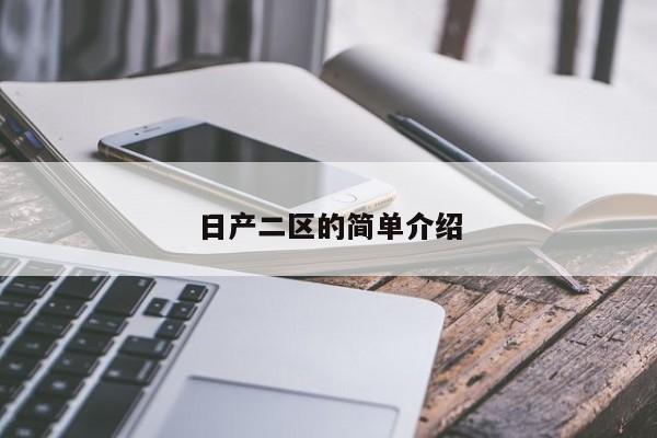 日产二区的简单介绍