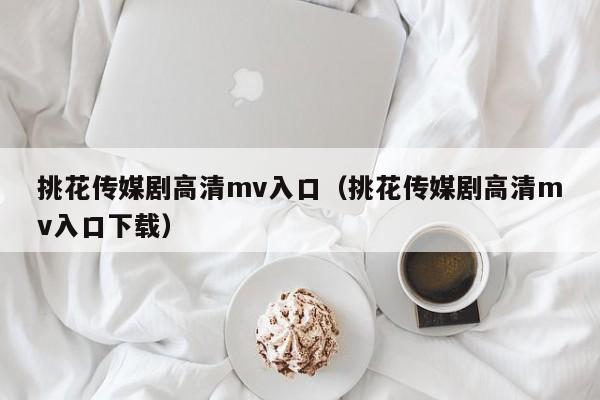 挑花传媒剧高清mv入口(挑花传媒剧高清mv入口下载)