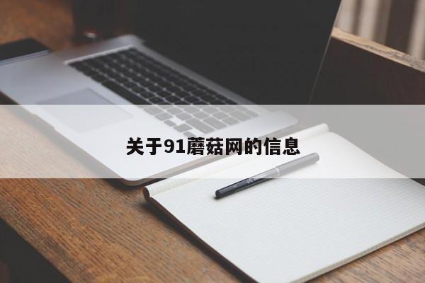 关于91蘑菇网的信息